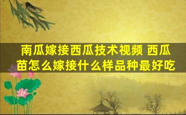 南瓜嫁接西瓜技术视频 西瓜苗怎么嫁接什么样品种最好吃